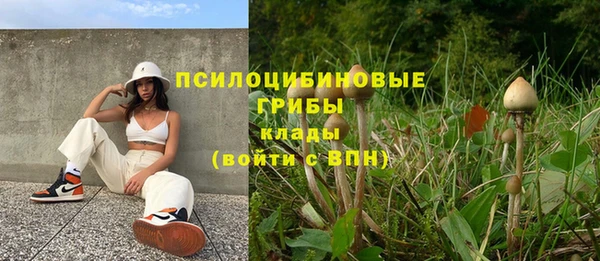 spice Переславль-Залесский