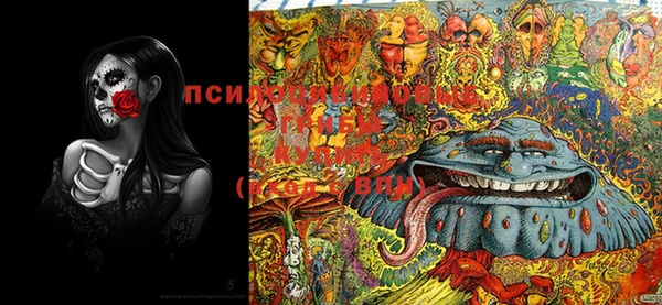 круглые Пересвет